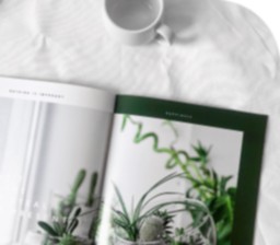 Revistas.png